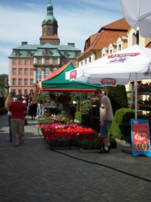 Zamek Książ w kwiatach - 0