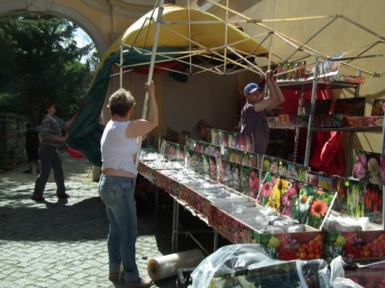 Zamek Książ w kwiatach - 31