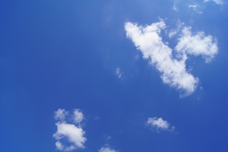 Majówka 2012! (Zobacz) - 