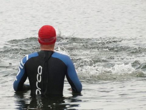 RAT, czyli jak ryby w wodzie (Zobacz) - 6