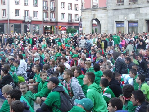 Wrocław: Rynek cały zielony!  - 30