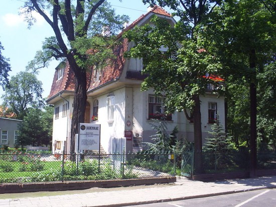 Wrocławska AWF pręży muskuły - Fot. archiwum prw.pl