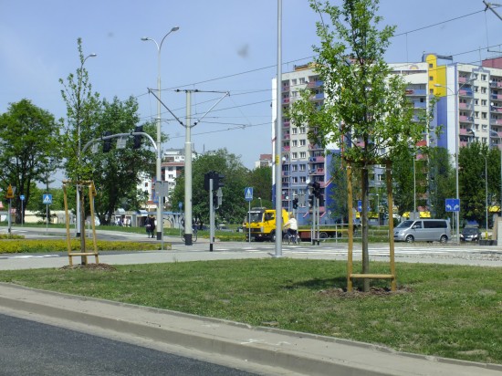 Ostatnie szlify przed turniejem (Zobacz) - 24