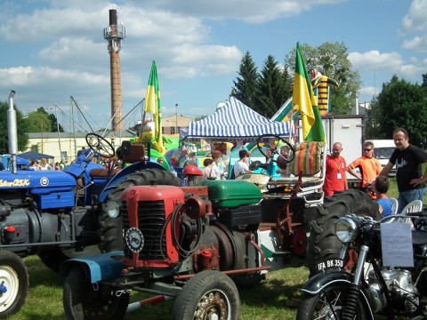 Oborniki Śląskie świętują  - 31