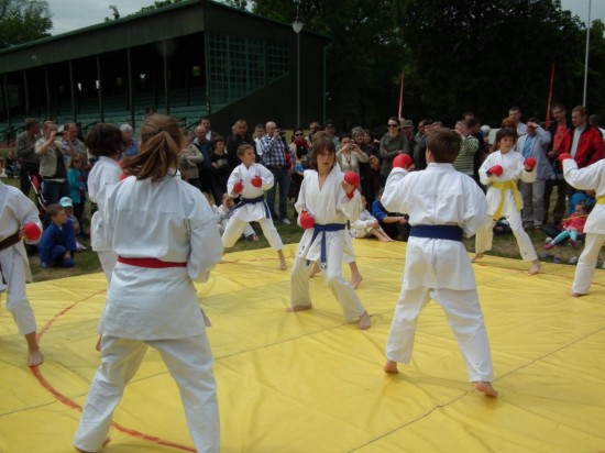 DRJ Piknik Olimpijski - 9