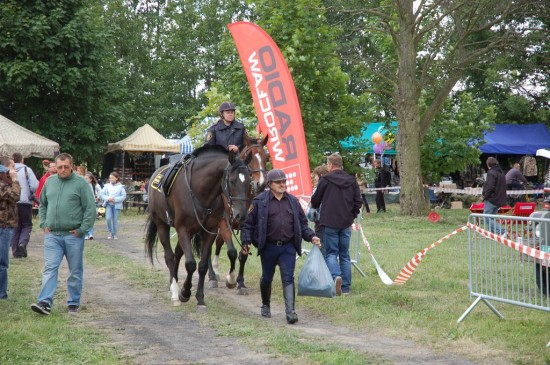 DRJ Operacja Zachód  - 31