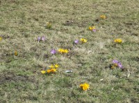Park jak z obrazka. I co z tego? - fot. archiwum prw.pl
