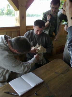 Sokoły  wróciły na Dolny Śląsk - 1