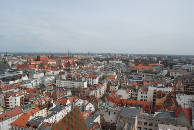 Szejkowie zawitają do Wrocławia - fot. archiwum prw.pl