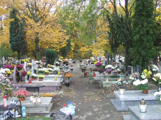 Wandale na cmentarzu  - fot. archiwum prw.pl