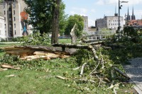 Legnica: 3 lata po huraganie - fot. prw.pl