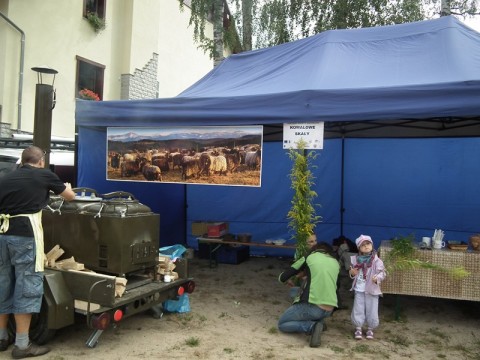 DRJ Karpacz - 9