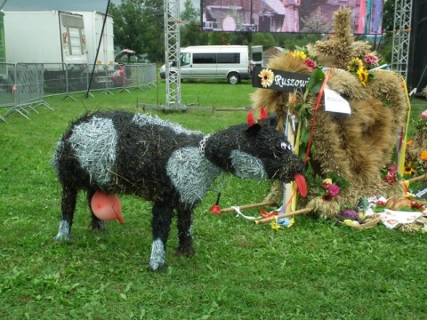Święto Wsi Kłodzkiej - 22