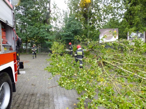 Drzewo przywaliło dwa auta (Zobacz) - 9