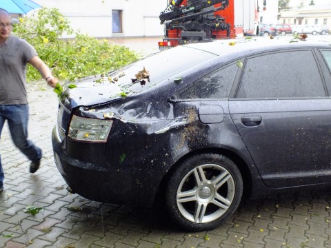 Drzewo przywaliło dwa auta (Zobacz) - 16