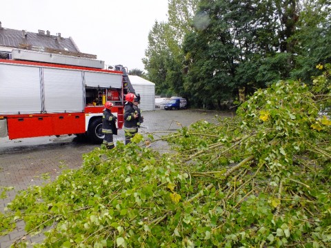 Drzewo przywaliło dwa auta (Zobacz) - 7