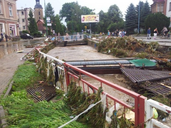 Olszyna staje na nogi? - fot. archiwum prw.pl