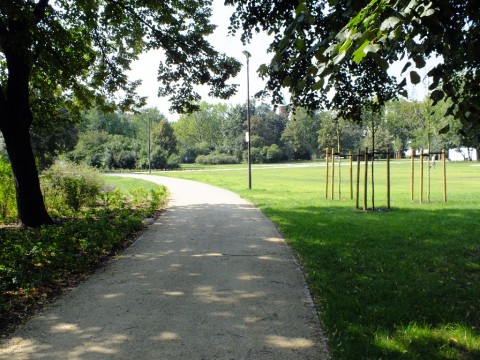 Park Staszica coraz piękniejszy - 12