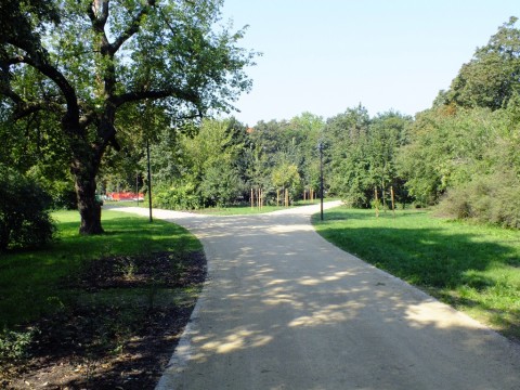 Park Staszica coraz piękniejszy - 13
