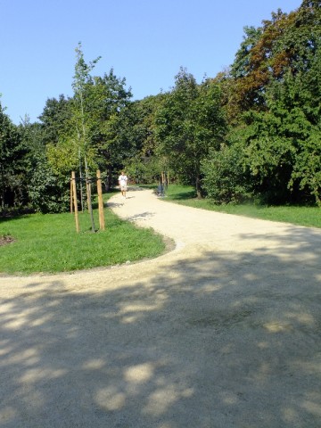 Park Staszica coraz piękniejszy - 14