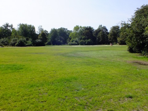 Park Staszica coraz piękniejszy - 15