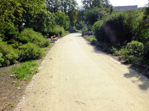 Park Staszica coraz piękniejszy - 16