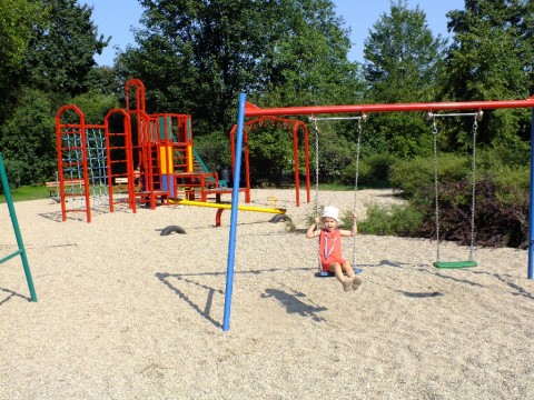 Park Staszica coraz piękniejszy - 3