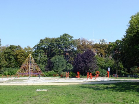 Park Staszica coraz piękniejszy - 6