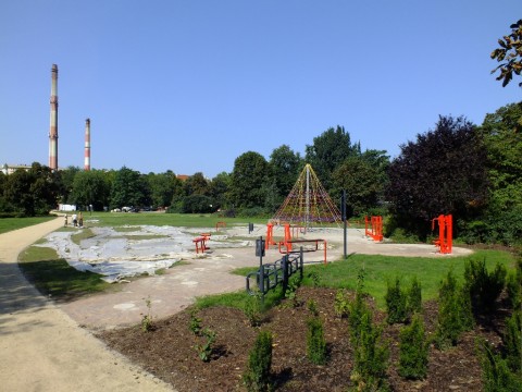 Park Staszica coraz piękniejszy - 8