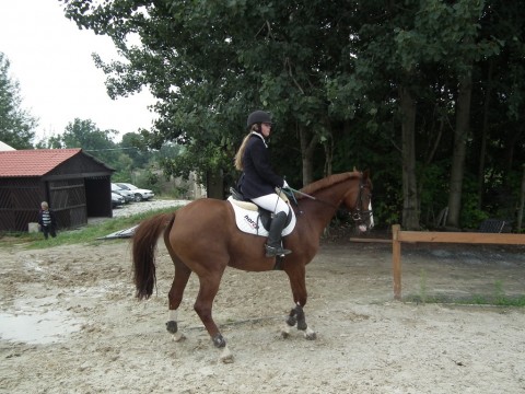 DRJ w Machnicach - 17