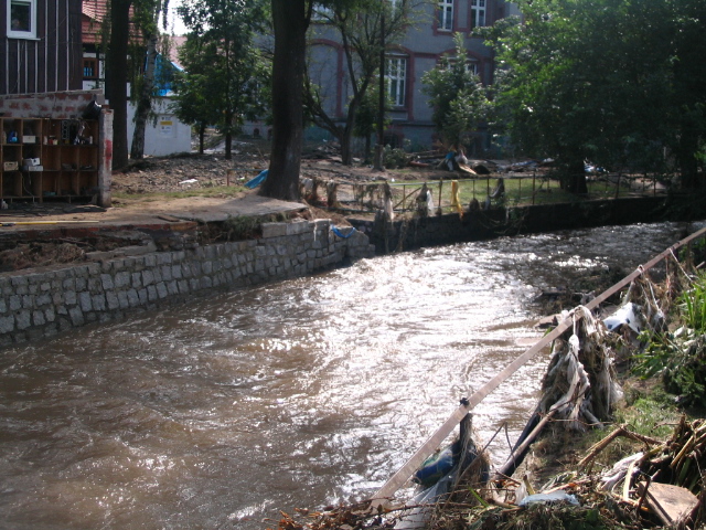 Trwa wielkie sprzątanie - 9