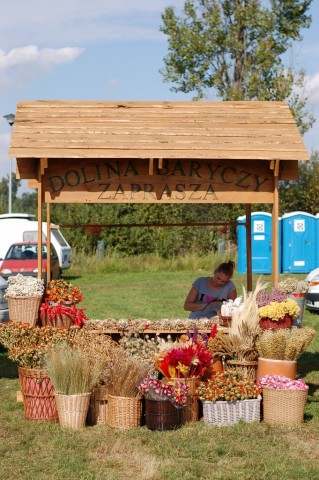 Żmigrodzki Festiwal Karpia  - 12