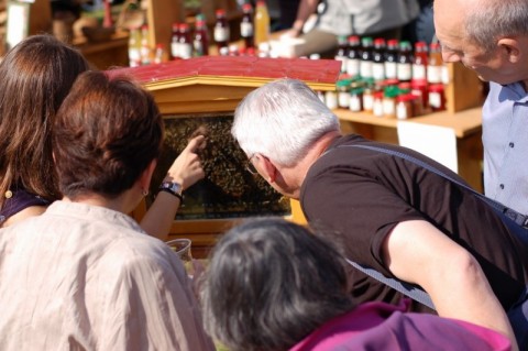 Żmigrodzki Festiwal Karpia  - 14