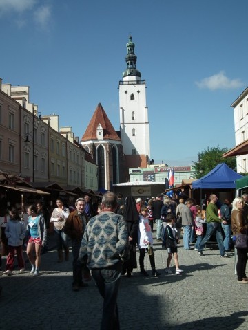DRJ w Oleśnicy - 16