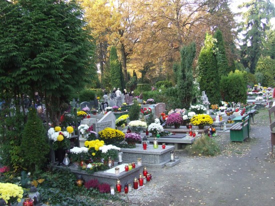 Kolejna sekcja zwłok - fot. archiwum prw.pl