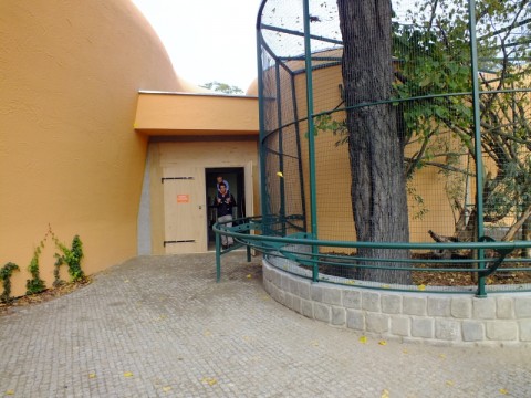 Nowy gość we wrocławskim Zoo - 6