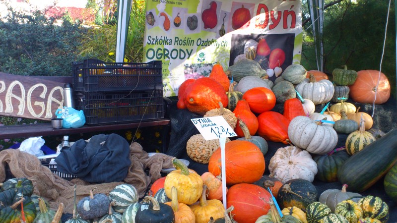 Święto dyni w Ogrodzie Botanicznym - 2