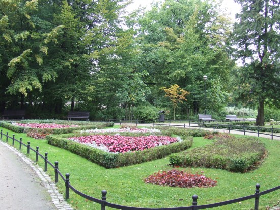 Zazieleni się we Wrocławiu. Wkrótce - fot. archiwum prw.pl