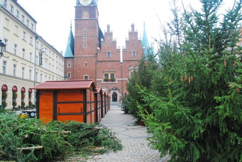 Choinka już stoi. Jarmark też - 21
