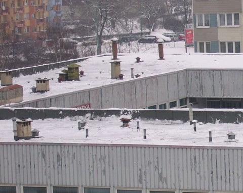Pamiętaj o odśnieżeniu dachu (FOTO) - 3