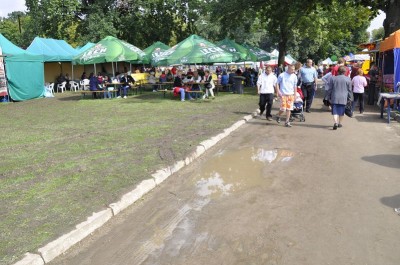 DRJ: Dożynki w Jaworze - 37
