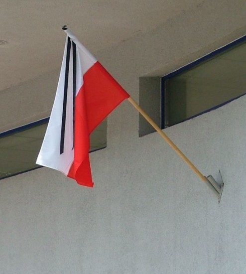 Znieważyła flagę, może pójść za kratki - Fot. Alina Zienowicz/Wikipedia