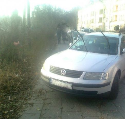 Trudna sztuka parkowania (Zobacz) - 1
