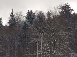 Uwięzieni w Bieszczadach (Posłuchaj) - fot. archiwum prw.pl