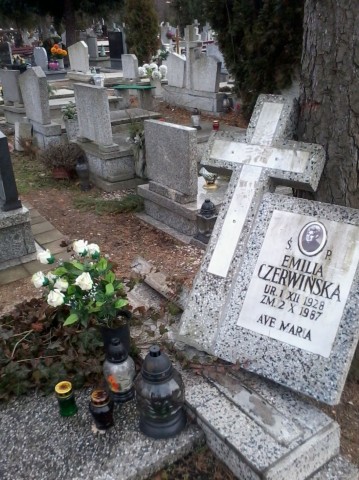 Profanacja grobów w Legnicy (Zobacz) - 7