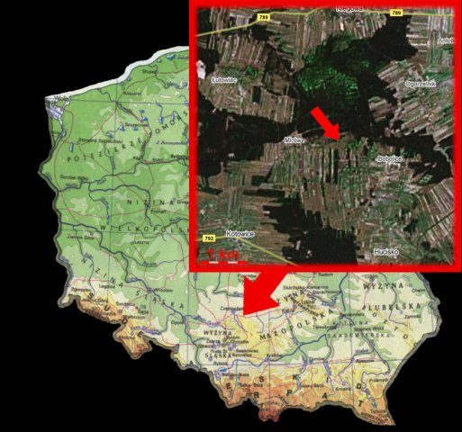 Zbadali zęby neandertalczyków - 5