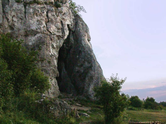 Zbadali zęby neandertalczyków - 4