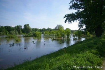 Powódź na Dolnym Śląsku, 23.05.2010. - relacja - 83