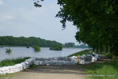 Powódź na Dolnym Śląsku, 23.05.2010. - relacja - 94