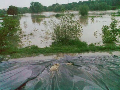 Wielka woda na Dolnym Śląsku, 21.05.10 - relacja - 0